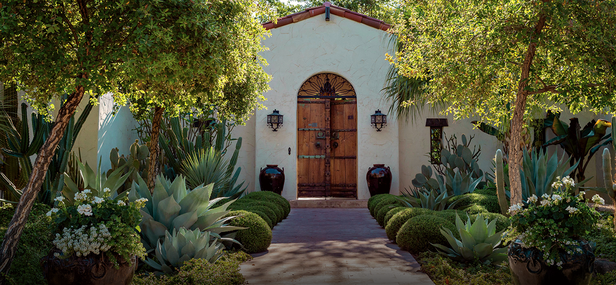 The Essential Guide to Drought Tolerant Plants for Arizona